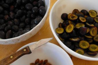 Pitless plum jam for the winter - Simple jam recipes
